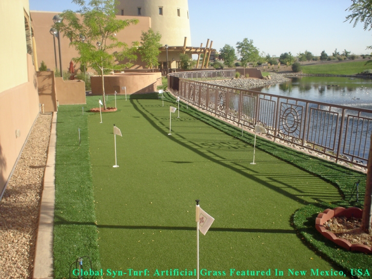 Synthetic Turf Glendale, Arizona Backyard Deck Ideas, Beautiful Backyards