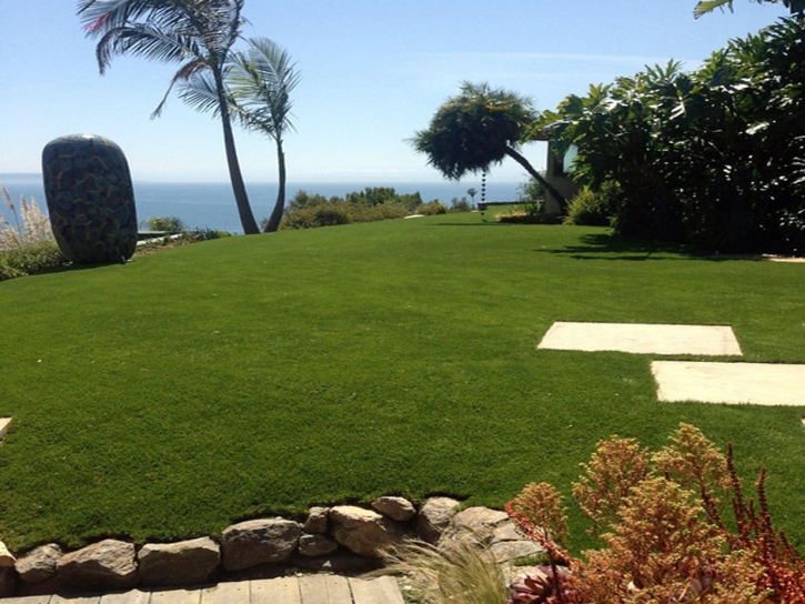 Synthetic Turf San Carlos, Arizona Landscaping Business, Commercial Landscape
