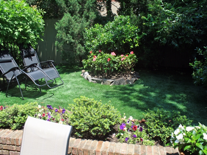 Synthetic Turf San Luis, Arizona Paver Patio, Backyard Landscape Ideas