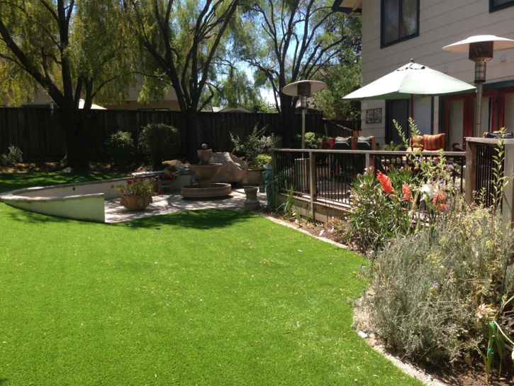 Synthetic Turf Supplier Bouse, Arizona Design Ideas, Backyard Landscape Ideas