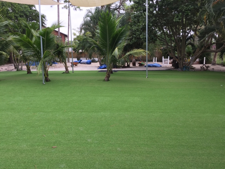 Synthetic Turf Supplier Casa Grande, Arizona Rooftop, Commercial Landscape