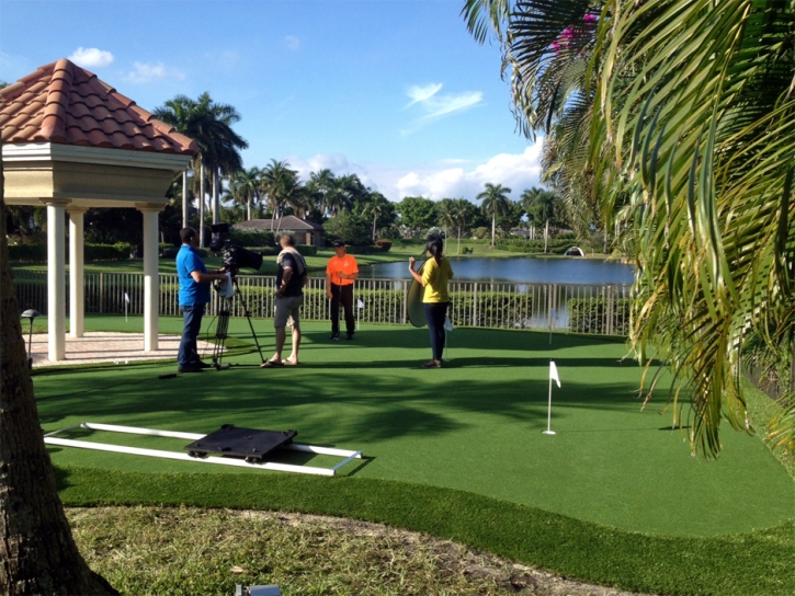 Synthetic Turf Supplier Cave Creek, Arizona Office Putting Green, Backyard Garden Ideas