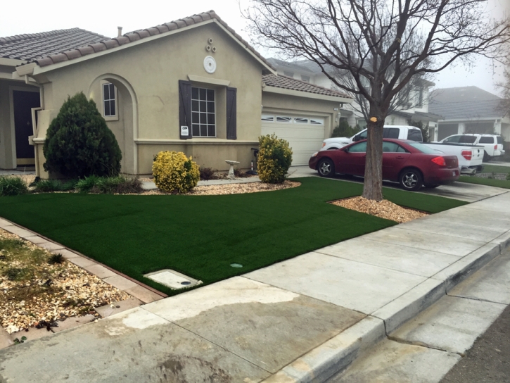 Synthetic Turf Supplier Litchfield Park, Arizona Design Ideas, Front Yard Landscaping Ideas