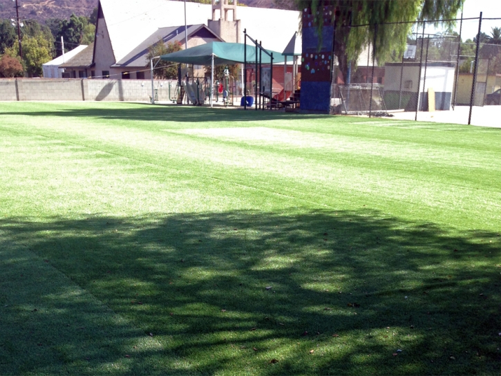 Synthetic Turf Supplier Sedona, Arizona Landscape Design, Recreational Areas