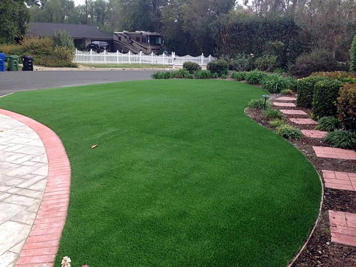 Synthetic Turf Supplier Solomon, Arizona Landscape Photos, Front Yard Landscape Ideas