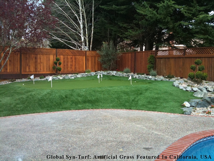 Synthetic Turf Supplier Sun City, Arizona Putting Green Grass, Backyard Ideas