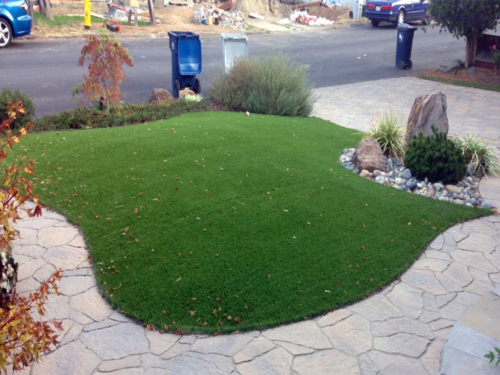 Synthetic Turf Supplier Taylor, Arizona Home And Garden