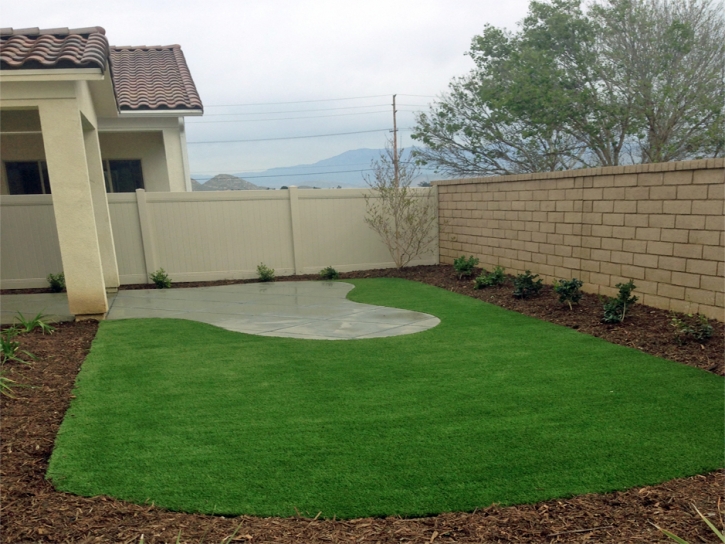 Synthetic Turf Supplier Tempe Junction, Arizona Landscaping Business, Backyard Ideas