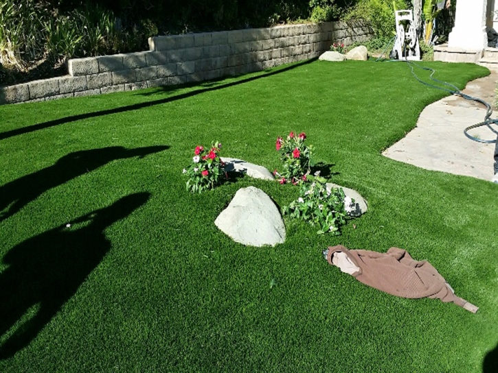 Synthetic Turf Supplier Youngtown, Arizona Landscaping, Front Yard Landscaping