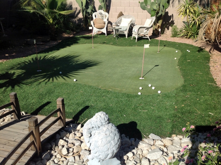 Turf Grass Blackwater, Arizona How To Build A Putting Green, Backyard Garden Ideas