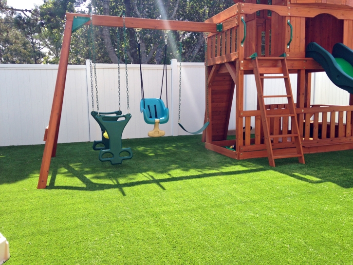 Turf Grass Naco, Arizona Landscaping, Backyard Designs