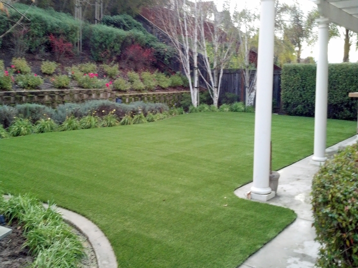 Turf Grass New Kingman-Butler, Arizona Dog Running, Small Backyard Ideas