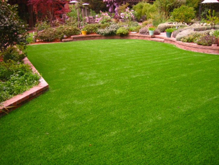 Turf Grass Paradise Valley, Arizona Design Ideas, Backyard Ideas