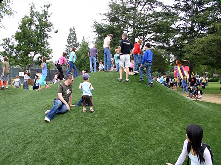 Turf Grass Red Mesa, Arizona Garden Ideas, Parks