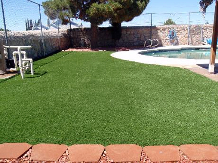 Turf Grass Solomon, Arizona Paver Patio, Natural Swimming Pools