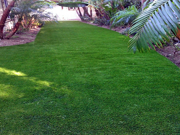 Turf Grass Springerville, Arizona Lawns, Backyard Ideas